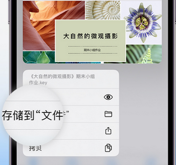 莱阳apple维修中心分享iPhone文件应用中存储和找到下载文件