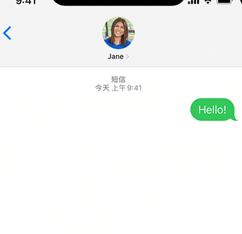 莱阳apple维修iPhone上无法正常发送iMessage信息