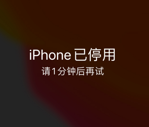 莱阳苹果手机维修分享:iPhone 显示“不可用”或“已停用”怎么办？还能保留数据吗？ 