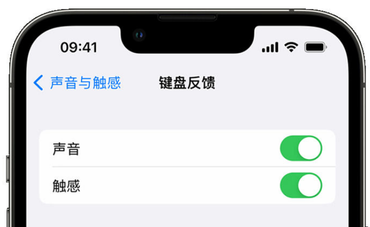 莱阳苹果手机维修分享iPhone 14触感键盘使用方法 