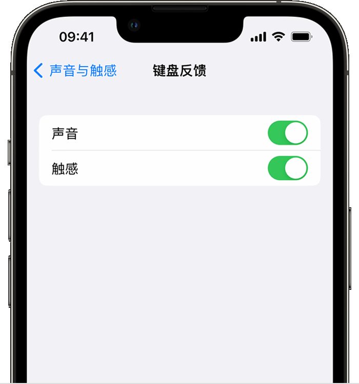 莱阳苹果14维修店分享如何在 iPhone 14 机型中使用触感键盘 