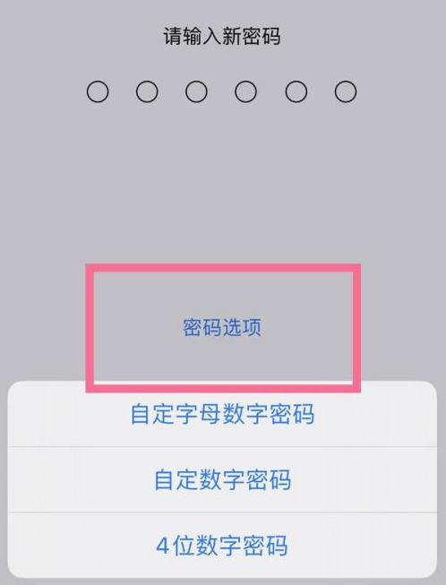 莱阳苹果14维修分享iPhone 14plus设置密码的方法 