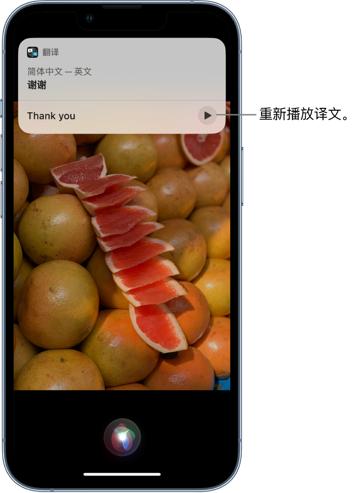 莱阳苹果14维修分享 iPhone 14 机型中使用 Siri：了解 Siri 能帮你做什么 