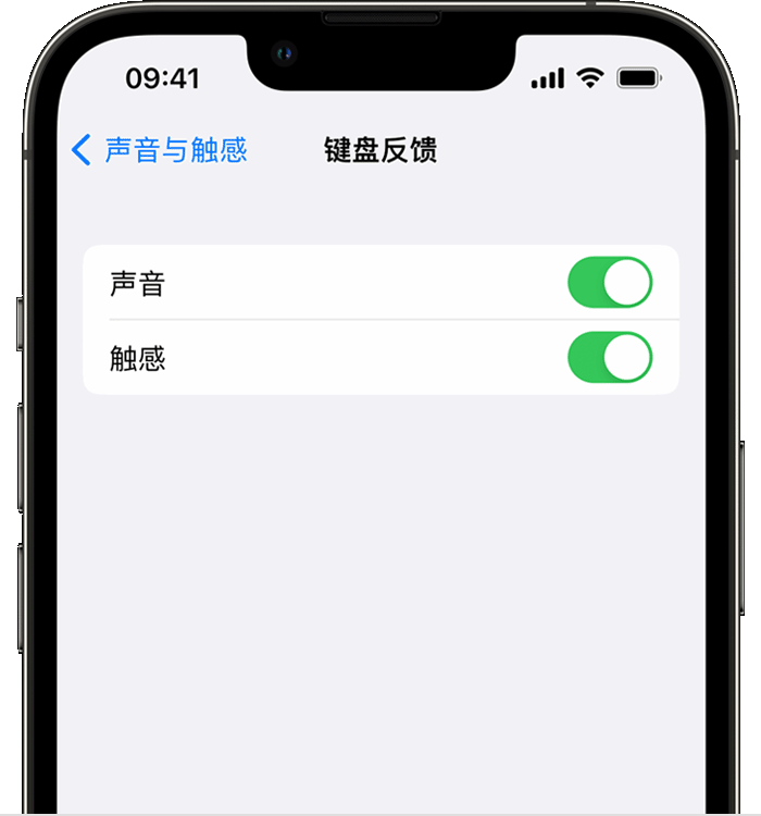 莱阳苹果14维修分享iPhone 14 系列机型如何开启键盘声音或触感反馈 