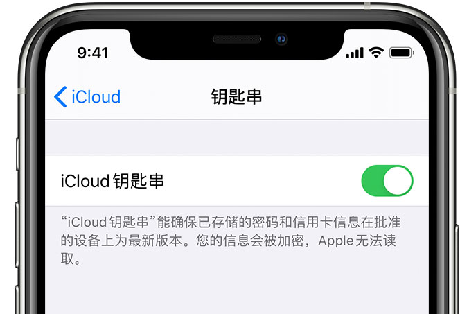 莱阳苹果手机维修分享在 iPhone 上开启 iCloud 钥匙串之后会储存哪些信息 