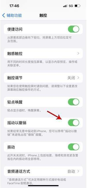 莱阳苹果手机维修分享iPhone手机如何设置摇一摇删除文字 