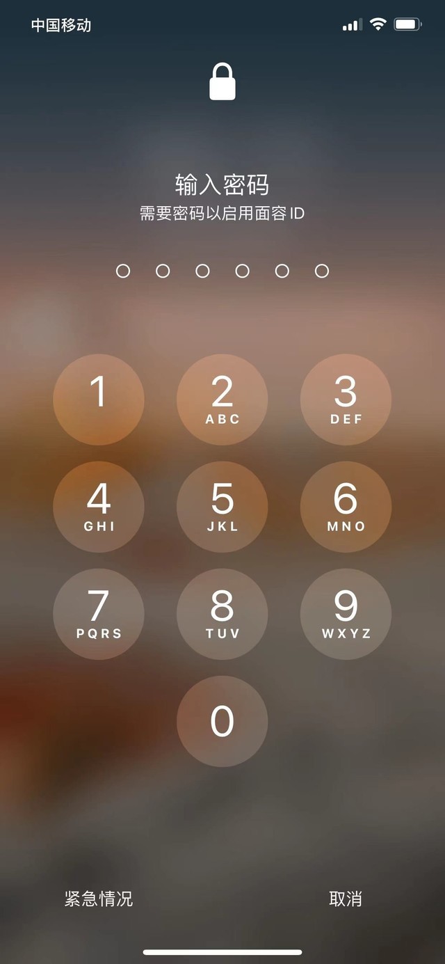 莱阳苹果13维修分享iPhone 13加强锁屏功能有什么用 