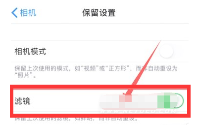 莱阳苹果13维修分享iPhone13拍照有绿点是怎么回事 