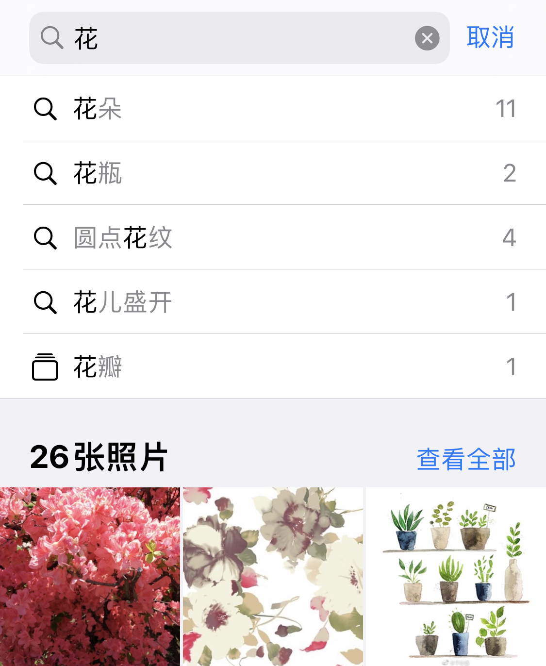 莱阳苹果手机维修分享iPhone 小技巧 