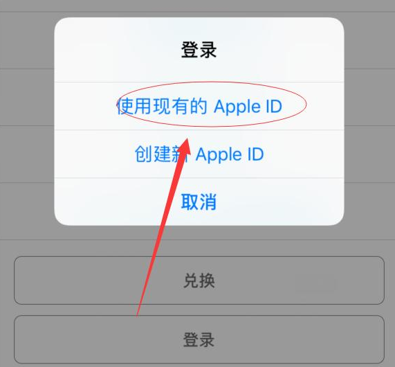 莱阳苹果手机维修分享两台iPhone设备可以同时登录一个Apple ID吗 