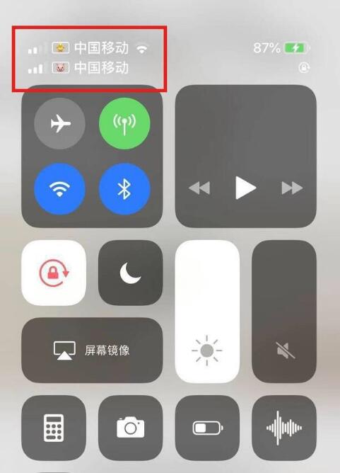 莱阳苹果手机维修分享为 iPhone 12 双卡设置标签 